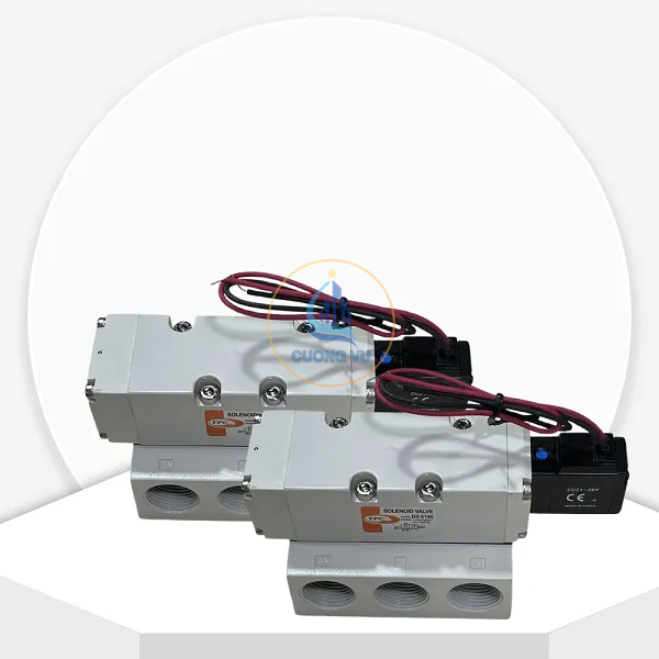 Van Điện Từ DS6140-5G-06 TPC