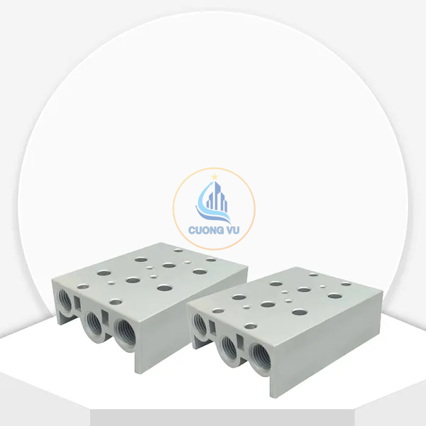 Đế Van Điện Từ 2 Van DSM3-30-101 TPC